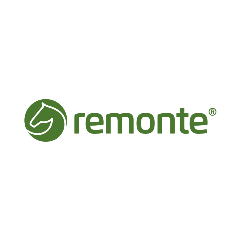 REMONTE-LOGO